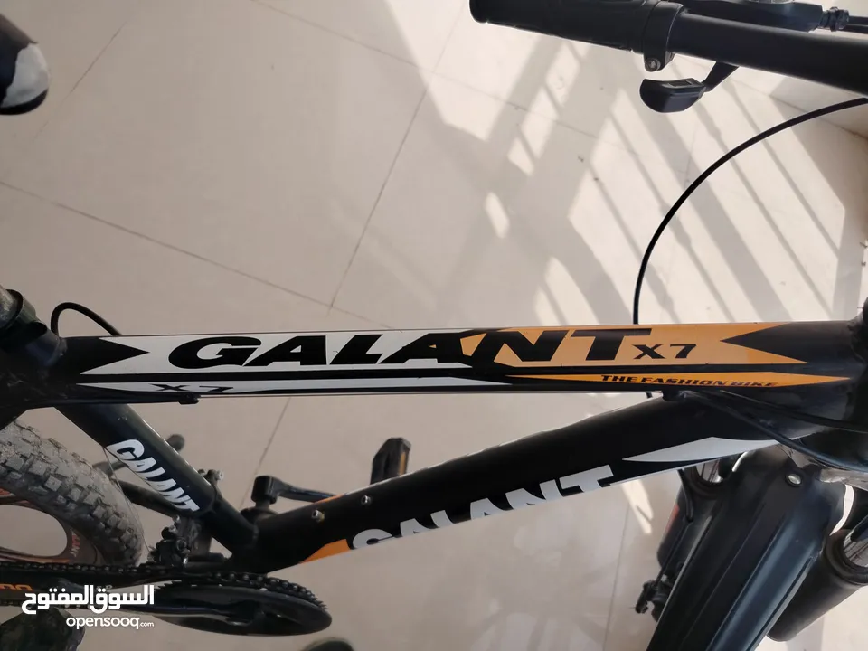 2024GALANIT