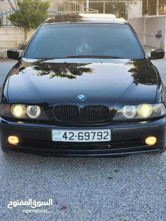 BMW E39 الدب