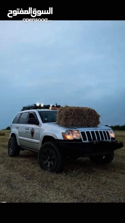 معدل تضخيم رفع فل شيتح