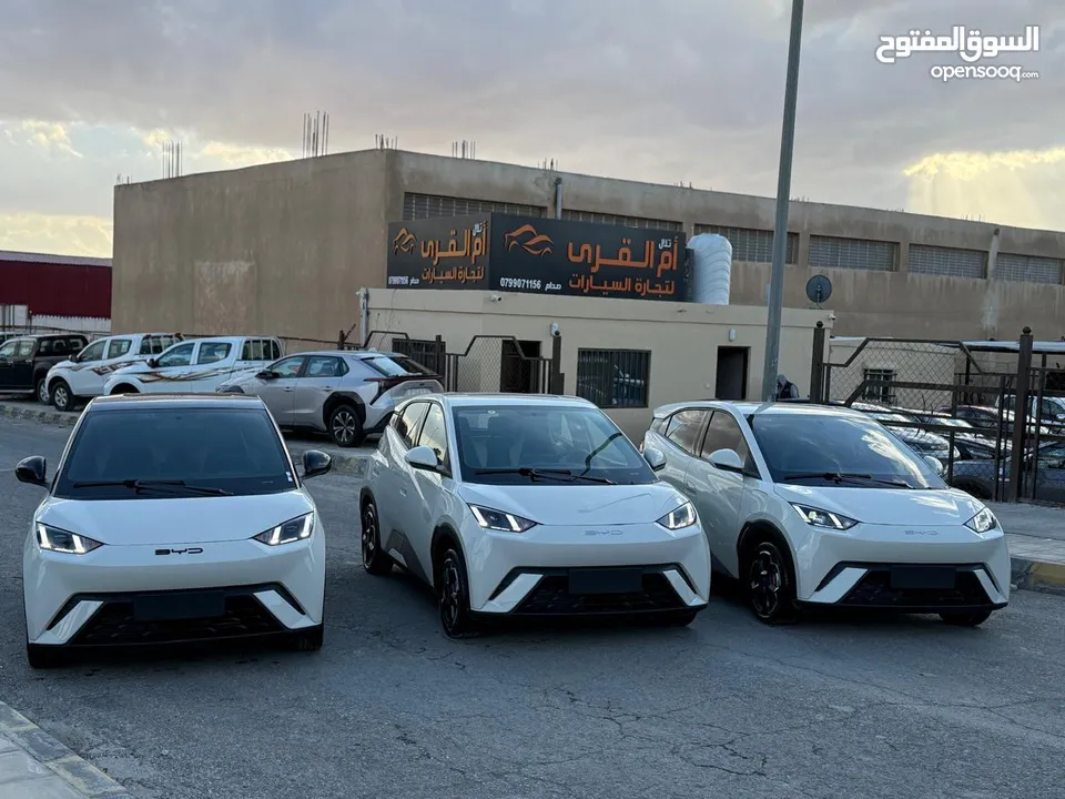 بس واي دي سيجول 305k 2023