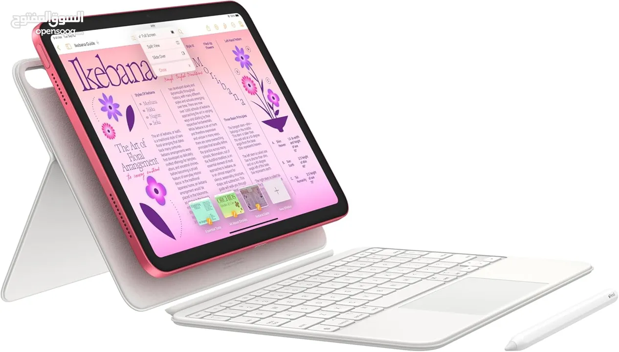 Apple iPad (10th Generation)