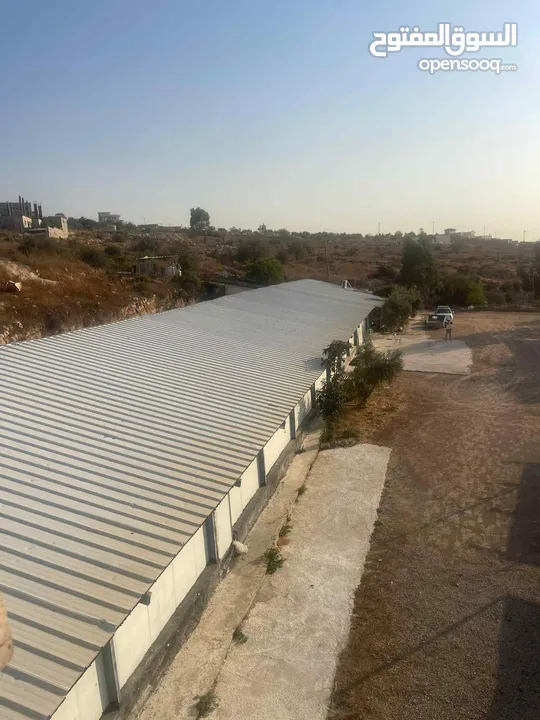 اراض 9 دونم مع مشروع مزرعه جاج مرخصه و موقع استراتيجي قريب ع معبر تجاري و مدخل اهل الداخل محتل