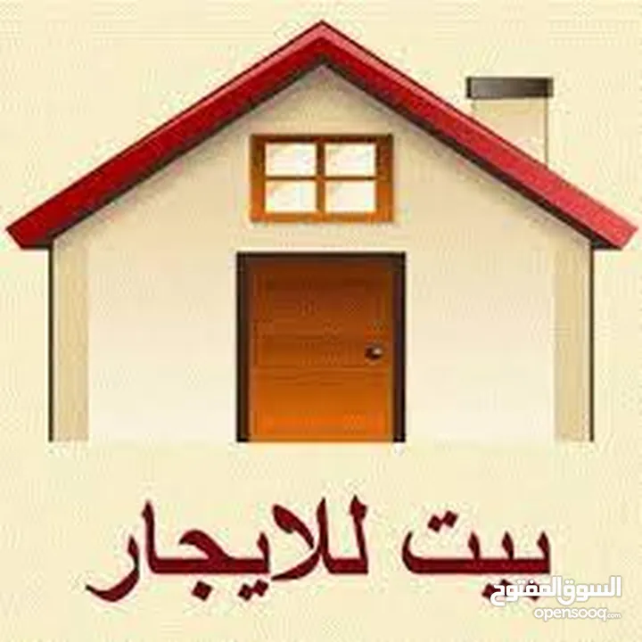 شقه للايجار بنابلس