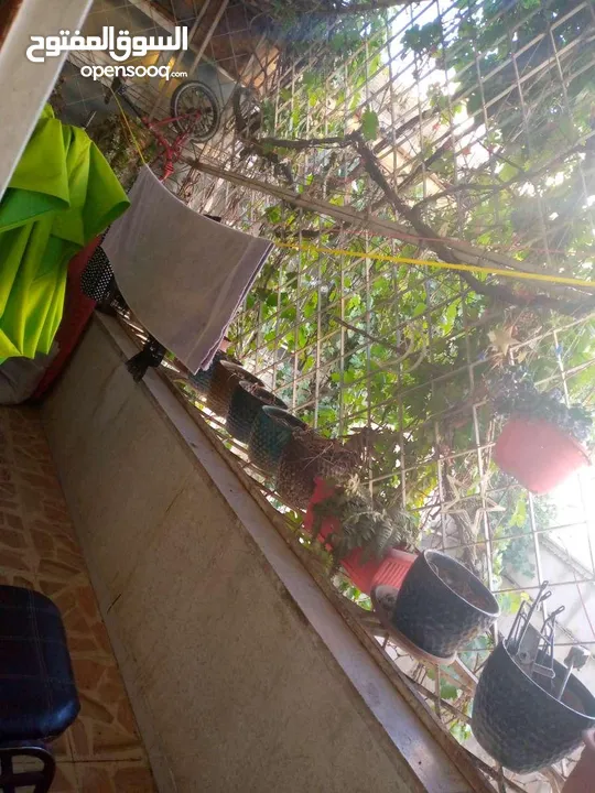 اعلان طقم كنب مستعمل للبيع بحالة جيدة