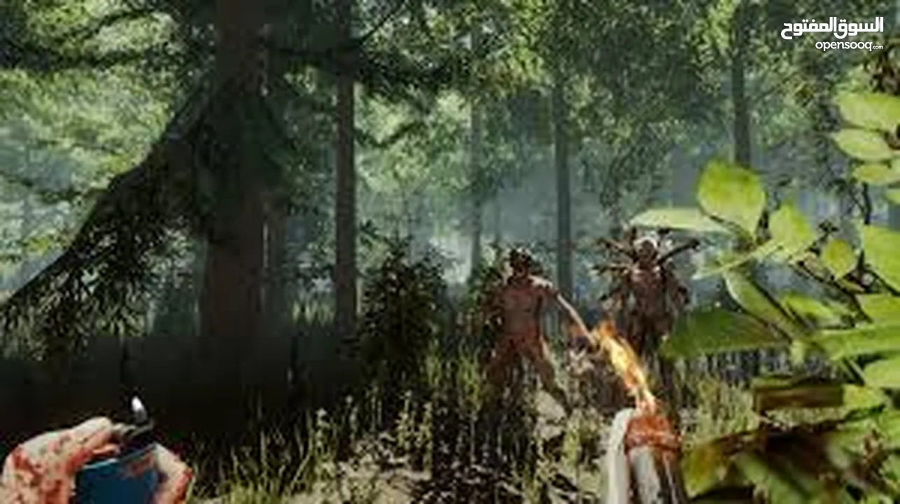 (The Forest) حساب ستيم (PC/ كمبيوتر ) بسعر مغري  توصيل فوري