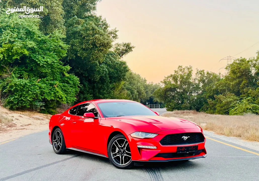 ‏FORD MUSTANG EcoBoost V.4 Turbo 2019