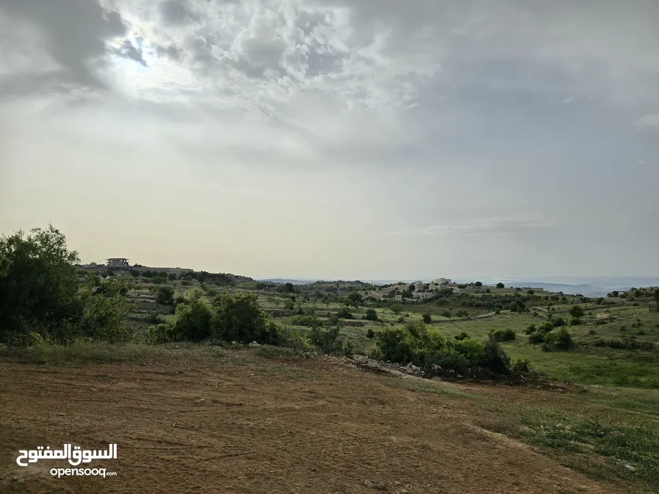 غرب سوف سهلات الغربيه قرب قصر السفير الاماراتي منطقه فلل و مزارع راقيه