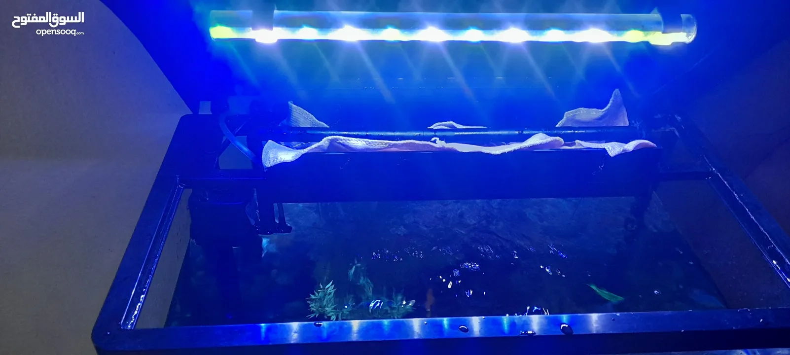 Fish Aquarium full Set