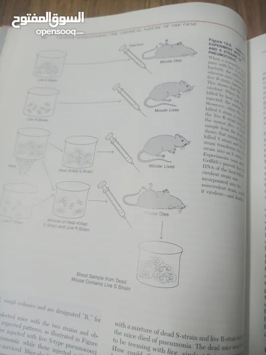 كتاب بعنوان biology