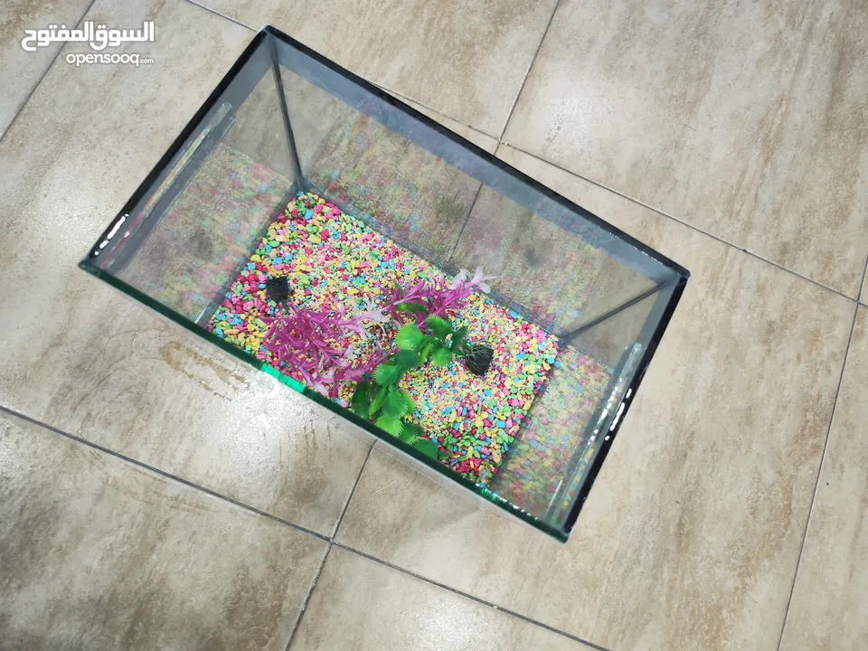 حوض سمك مجهز عبي مي و حط سمكاتك ، الطول 32 سم ارتفاع 23 سم عمق 21 سم