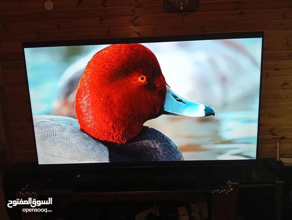شاشه مجيك 75انش سمارات 4كيه اوامر فل الفل شراء شهر 1 فل سمارت صوت ميوزك ورياضي وتوفير كهرباء