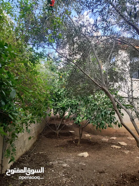 بيت منفصل مع حديقة للبيع بسبب السفر طولكرم شارع كتابا قرب حلويات البدر وجامع القيسي
