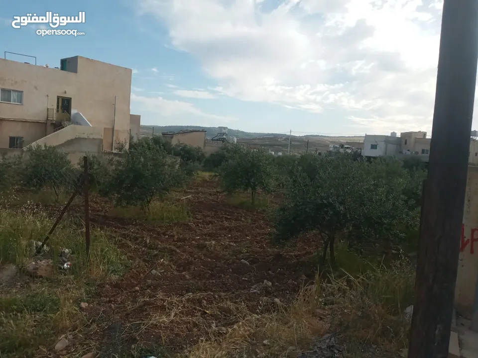قطعة ارض للبيع