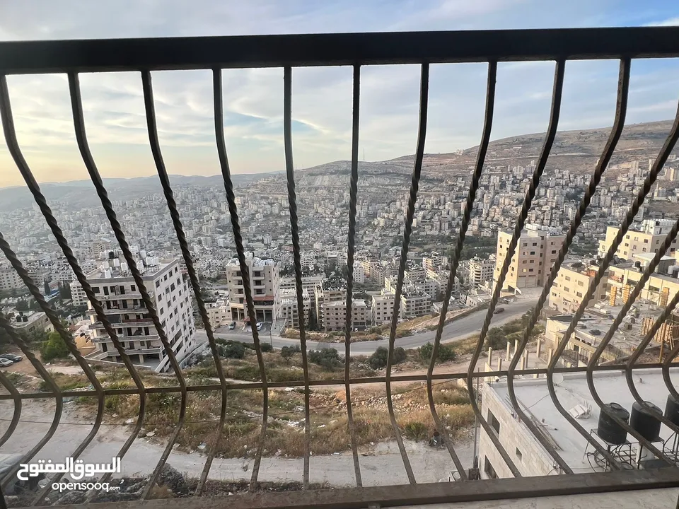 هبه خيري صوالح