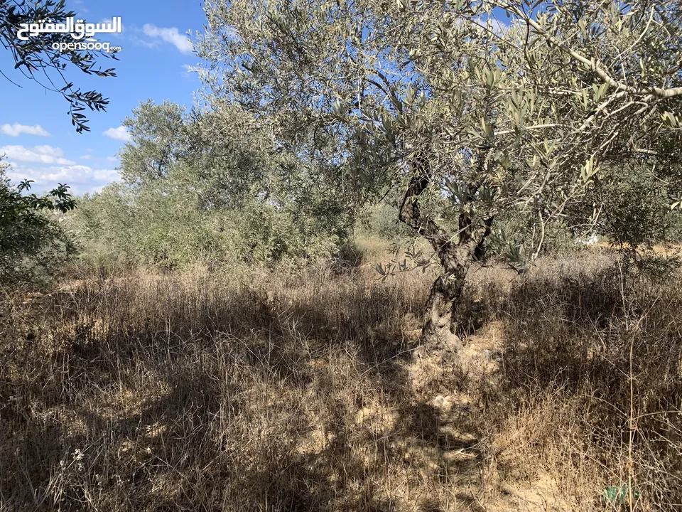 ارض لبيع على شارع