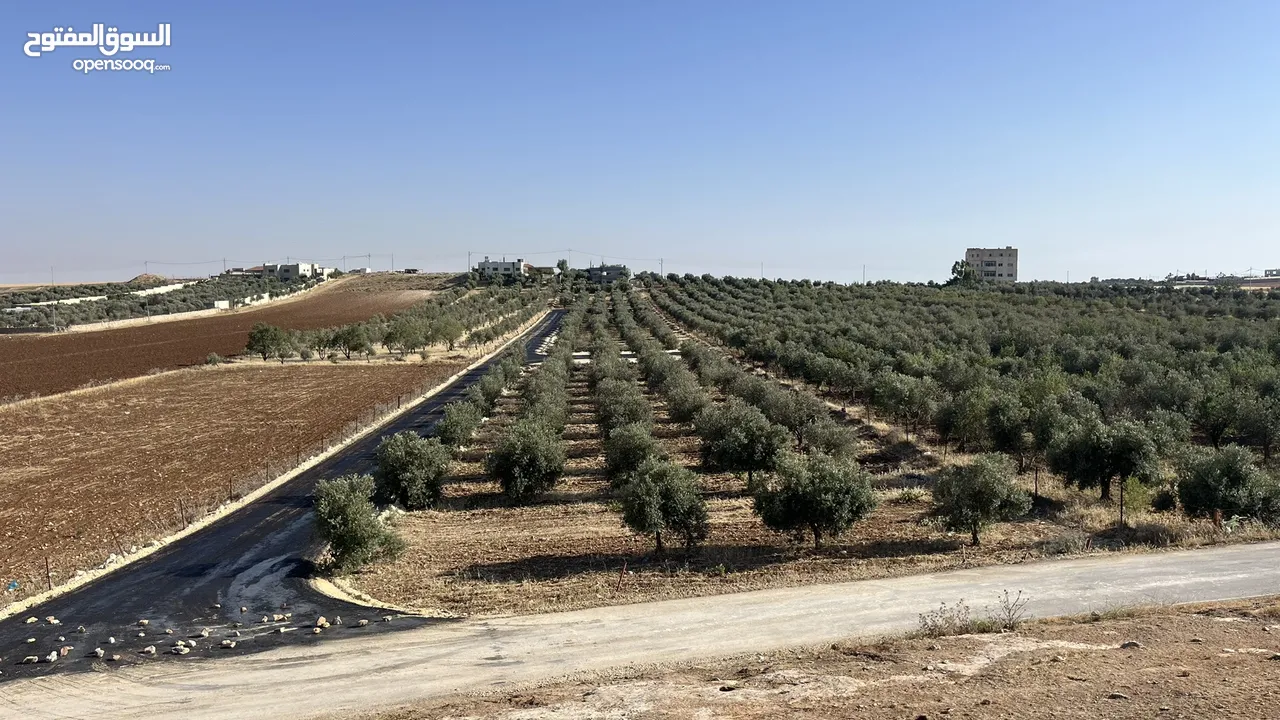 ارض للبيع في حسبان قريبة من شارع المطار ومرج الحمام على شارع مأدبا الغربي قريبة من الجامعة الألمانية