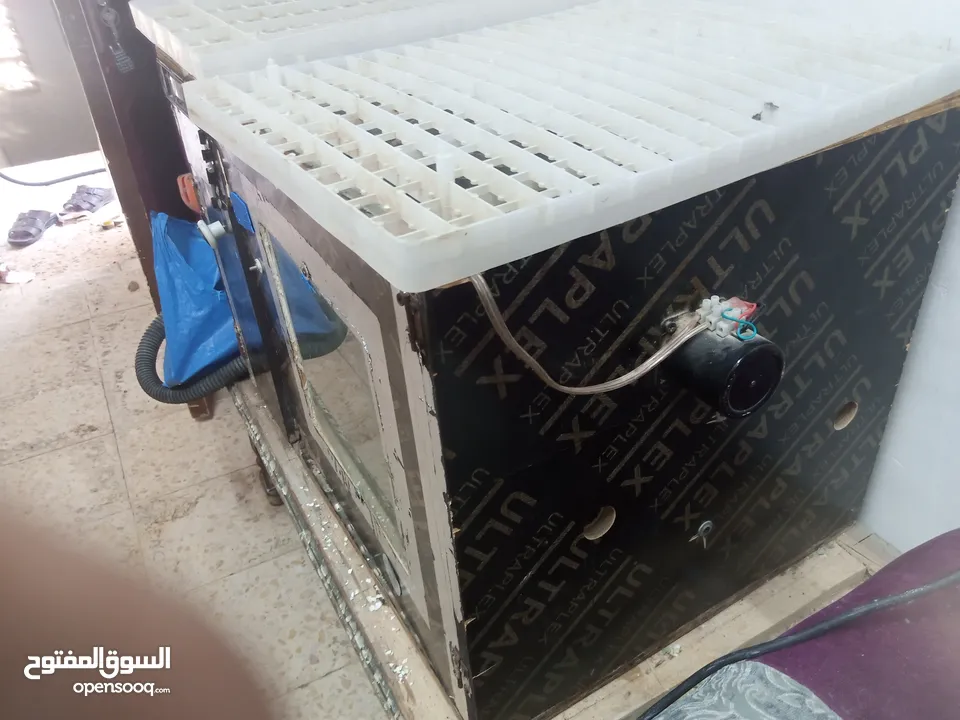 فقاسه بيض دجاج وفري