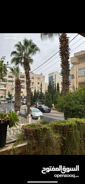 شقه للإيجار / الدوار الخامس