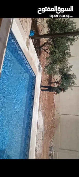 بناء برك سباحه مسابح بنظام سكيمر واوفر فلو