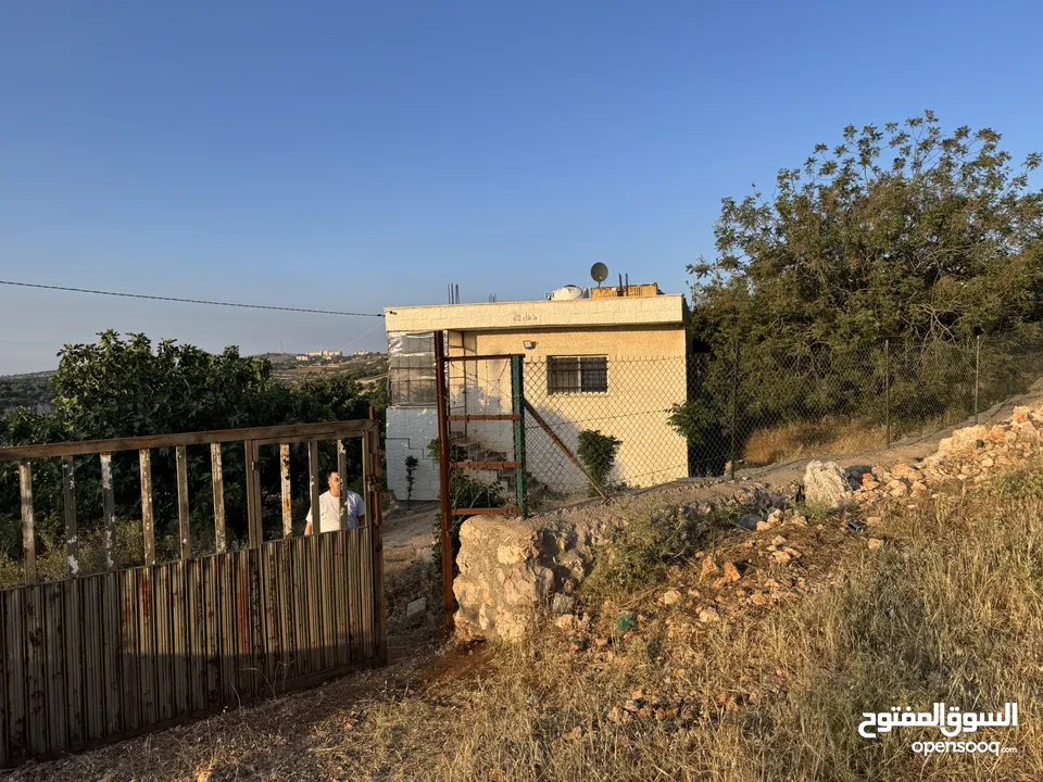 مزرعه للبيع / عجلون / رأس منيف