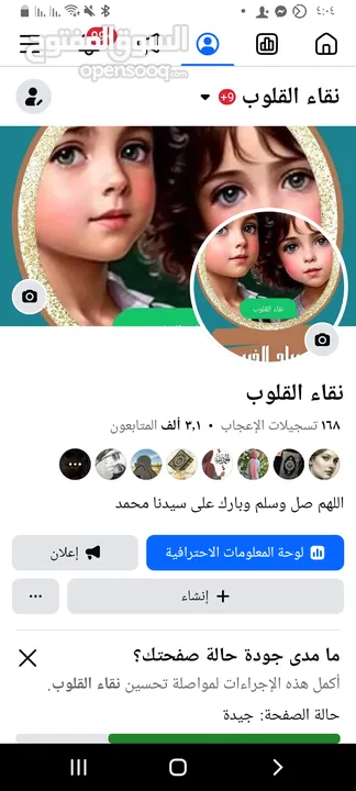 صفحات فيس بوك