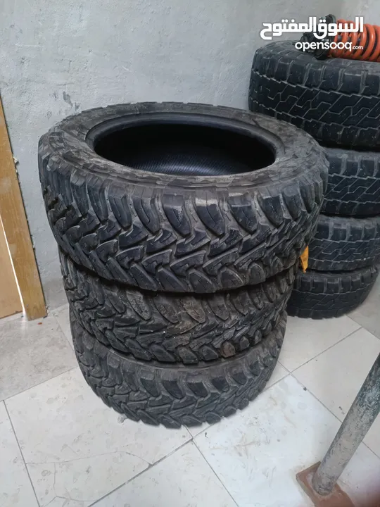 عجال عدد3 تويو بسعر مغري