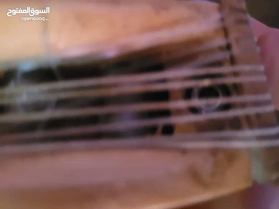 عود زرياب الأصلي زند عياري مع طقم أوتار اصلي ديداريو بسعر ممتاز