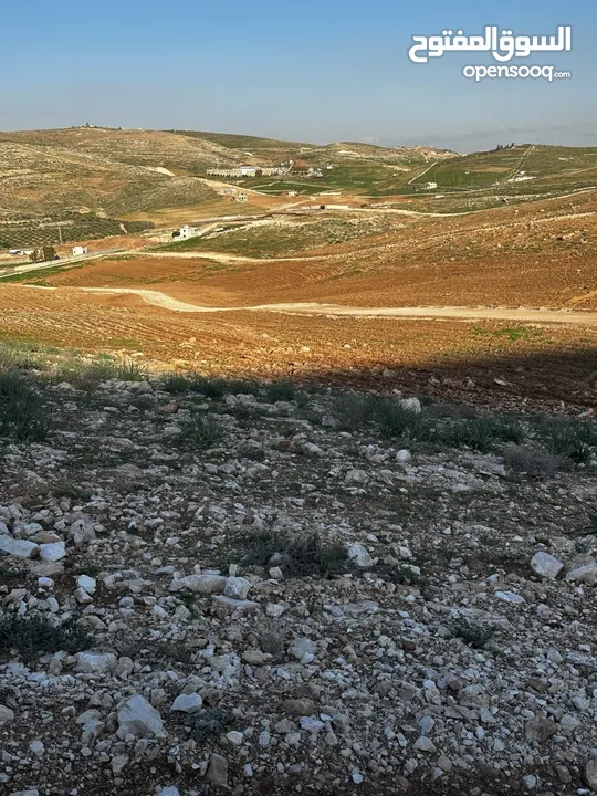 للبيع قطع مفروزة طريق الزرقاء اربد منطقة بلعما واصل خدمات