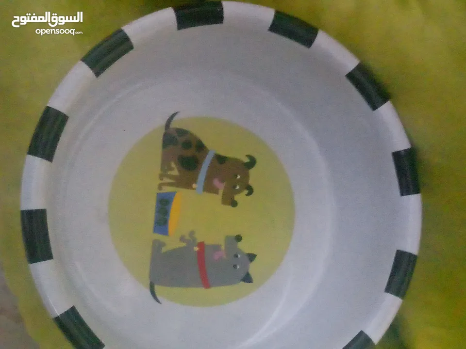 صحن ماء وطعام