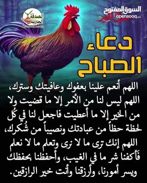 حضانه منزليه اسعار رمزيه الزرقاء الجديده لاتترددو ورنو للاستفسار