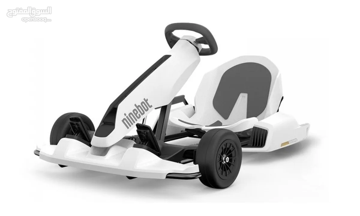 Ninebot GoKart - Kids and Adults