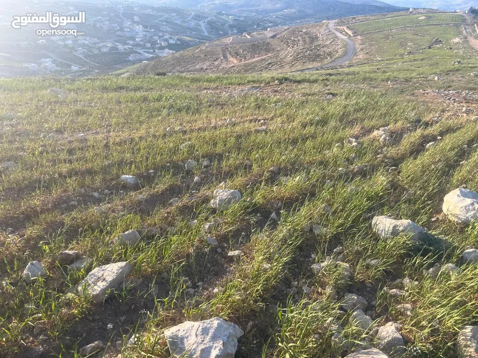 ارض الكمشة - استثمارية عالية و مطلة ( راس جبل)  قريب شارع الاردن 4 دونم إطلالة بانورامية مطلة