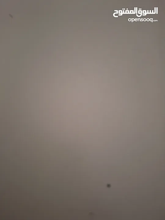 ابو محمد كارم