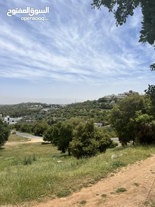 غرب عمان بدر الجديدة