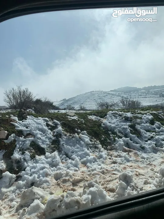 أرض ممتازة في جرش للسكن و للزراعة بقرب أحراش الدولة و سعر مغري  للمزيد من المعلومات اقرأ الوصف