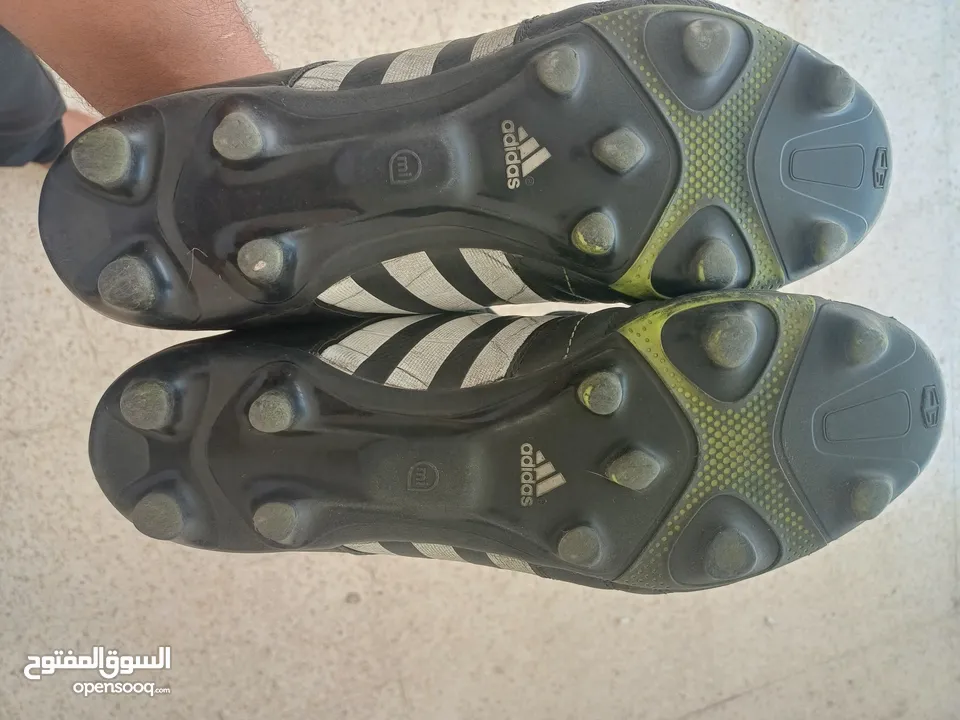 حذاء تونى كروس11 برو اديداس