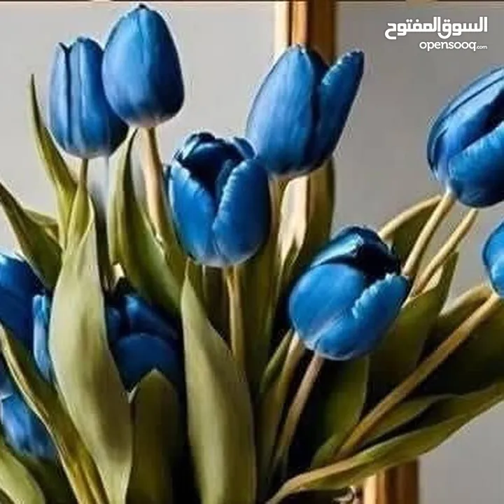 مطلوب ممول لتمويل استيراد علامه تجارية من الصين بضاعه معروفه بالسوق