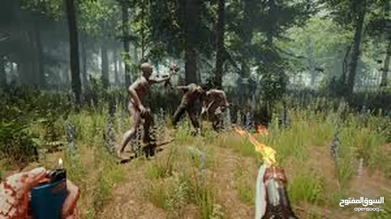 (The Forest) حساب ستيم (PC/ كمبيوتر ) بسعر مغري  توصيل فوري