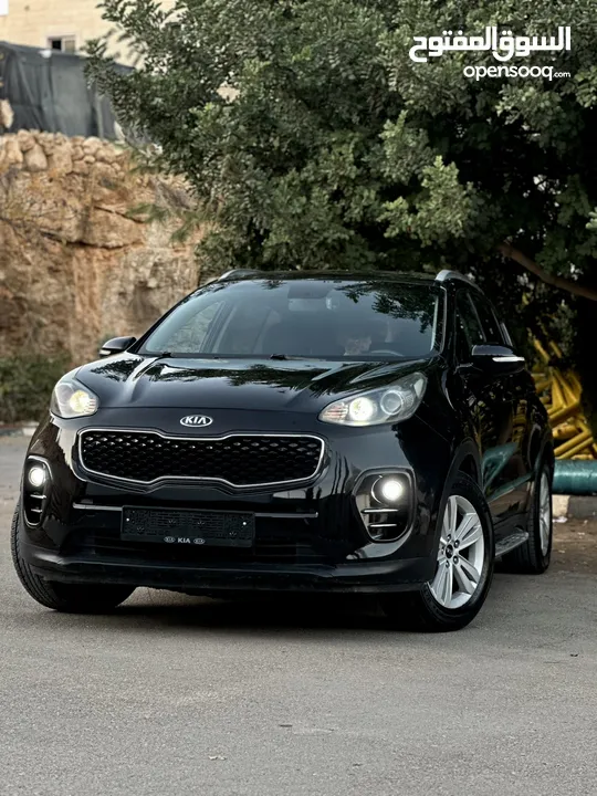 احمد سامي ابو غنيم