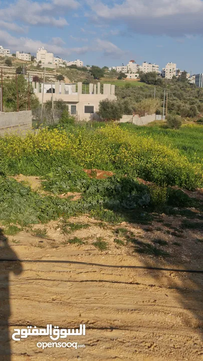 قطعة ارض للبيع