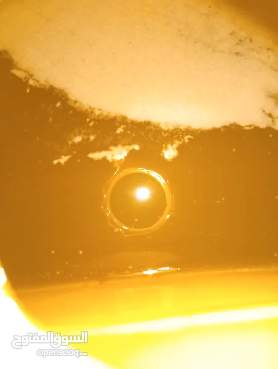 زيت زيتون من جبال جنين