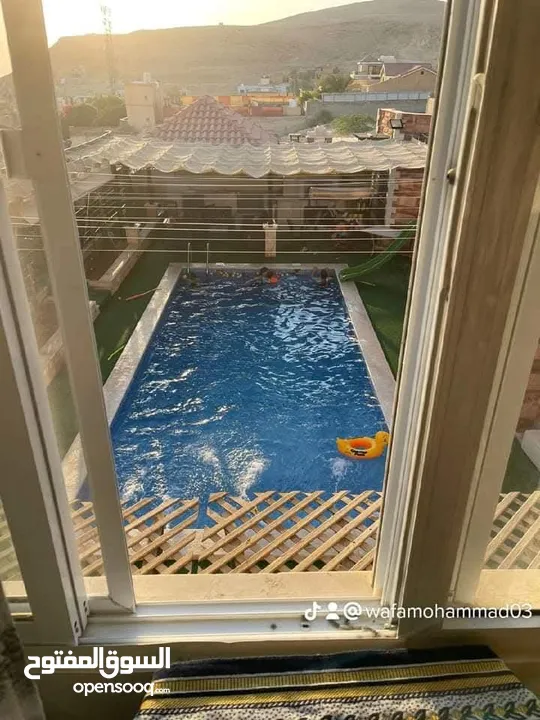مزرعة للايجار اليومي  في الغور منطقه الجوفه بأسعار مناسبة وبدأت حجوزات عيد الاضحى المبارك