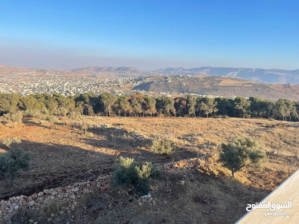 فيلا فاخرة على أرض 2000م تصنيف أ A, طابو – زاوية شارعين + مجلس ضيوف مستقل في طوباس