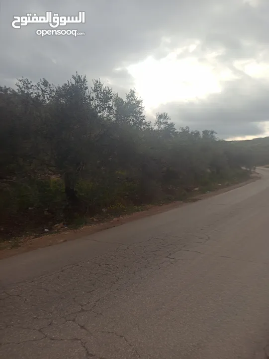 القبة الذهبية  شارع بلعا-دير الغصون