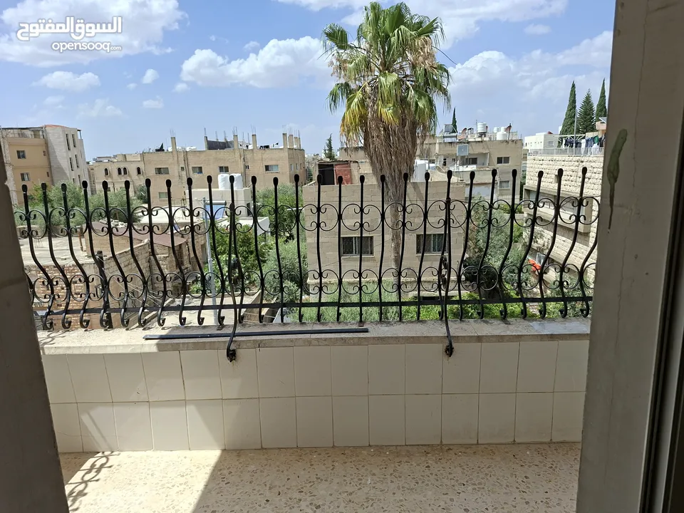 شقة عائليه  للايجار