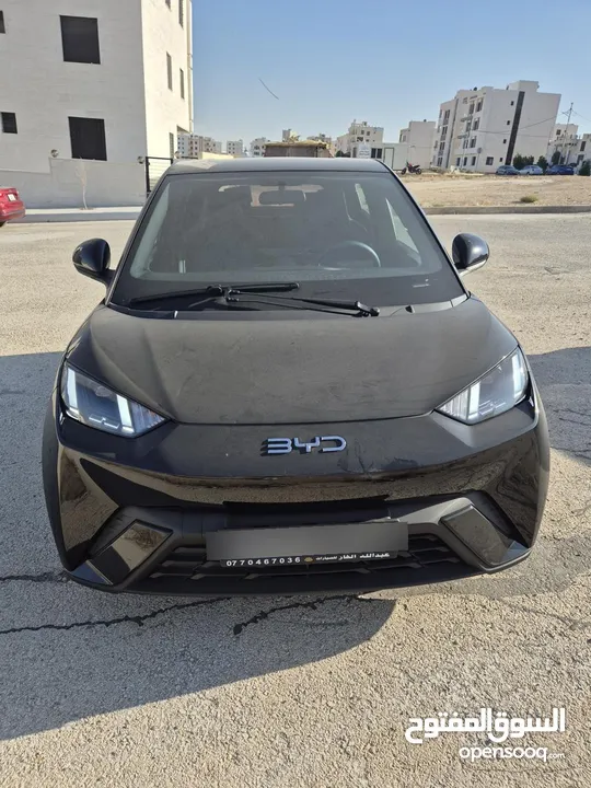 BYD SEAGULL 305km