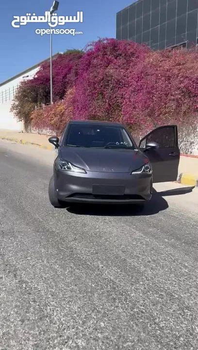 نيتا v Neta 2021 كلين فل كامل بطارية كبيرة للبيع
