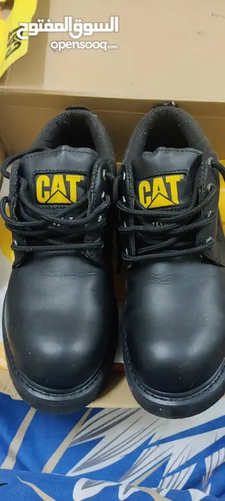 Cat safety shoes