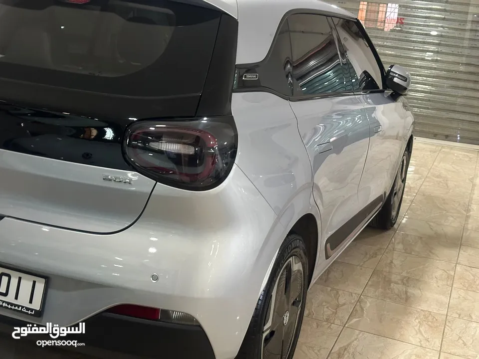 نامي بوكس 2023