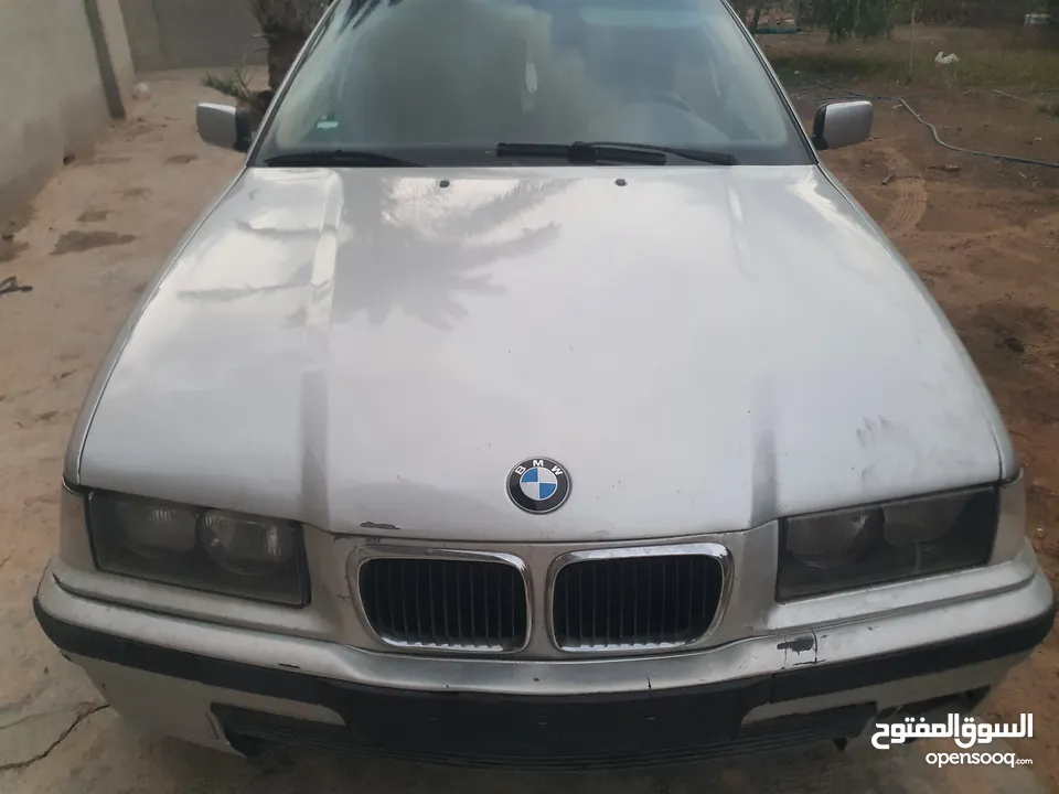 BM E36 ارنوب كومبكت